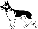 wpe8.gif (1500 octets)